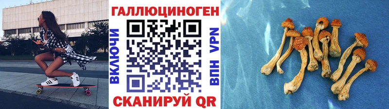 Купить закладки  Наволоки  Псилоцибиновые грибы MAGIC MUSHROOMS 